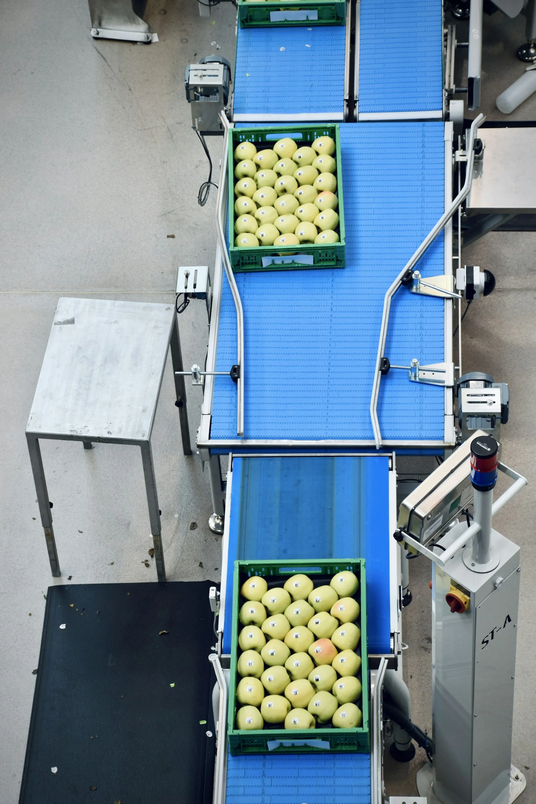 Productos frescos en una línea de selección y manejo de alimentos